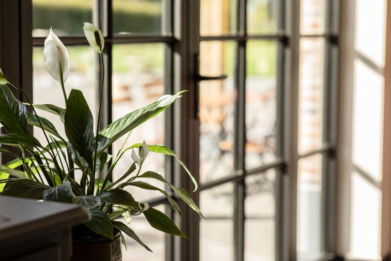 Casa Cava B&B Dendermonde Eksteriør billede